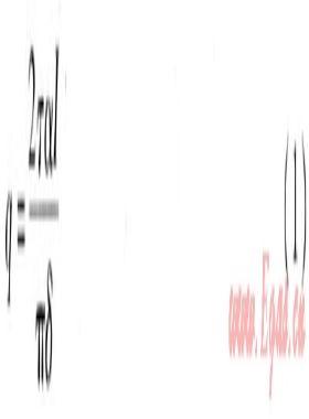 真空管太陽能集熱系統(tǒng)溫度場(chǎng)、速度場(chǎng)模擬