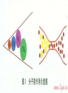 中國(guó)南方海相頁巖孔隙結(jié)構(gòu)特征