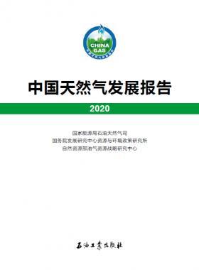 2020中國天然氣發(fā)展報(bào)告（含2017、2018、2019、2020）